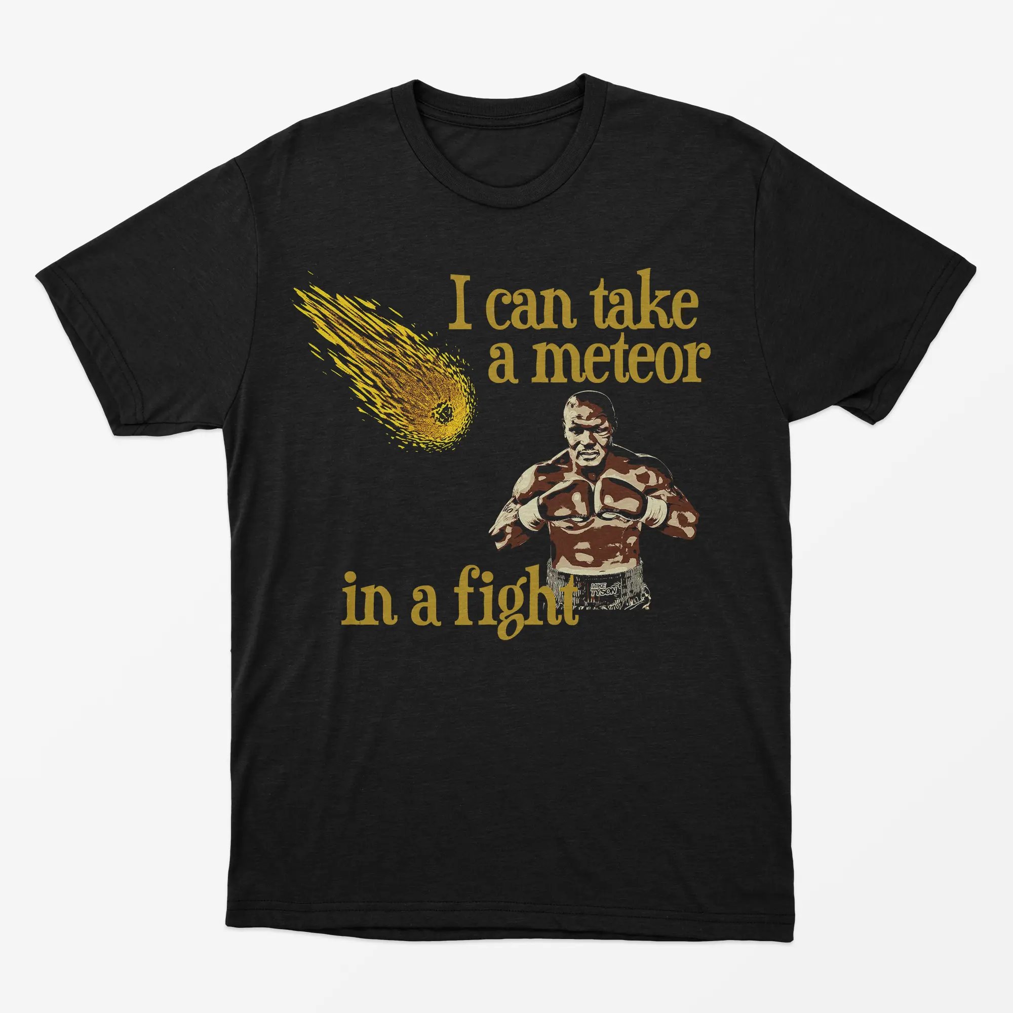 Camiseta I can take a meteor 