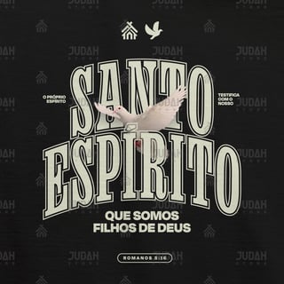 Nome do produto CAMISETA BABY LONG - SANTO ESPÍRITO