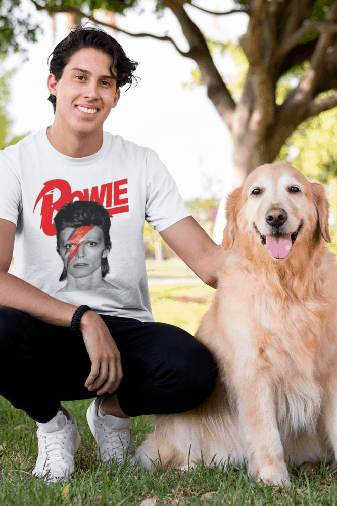 Nome do produto: David Bowie