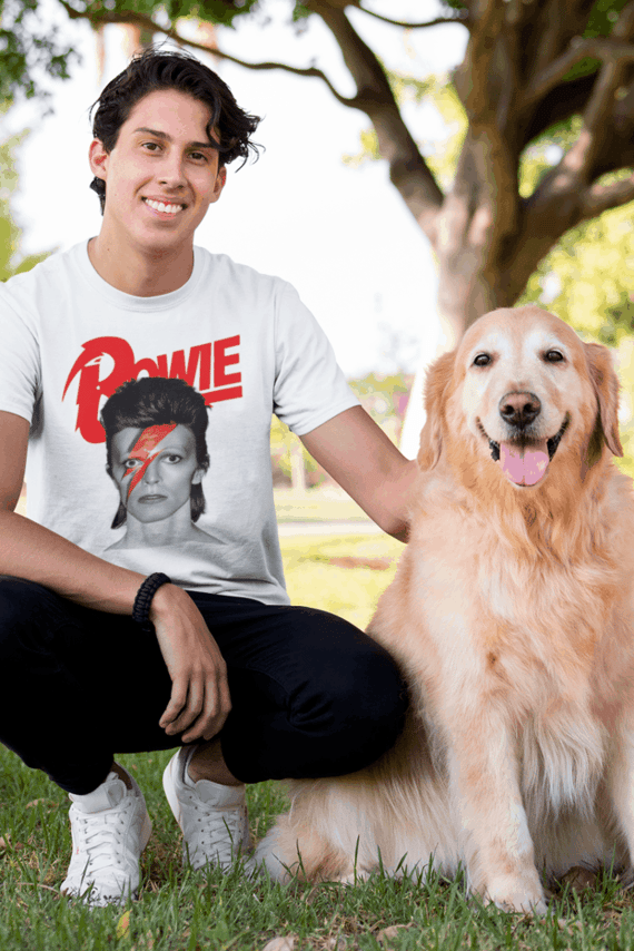 David Bowie