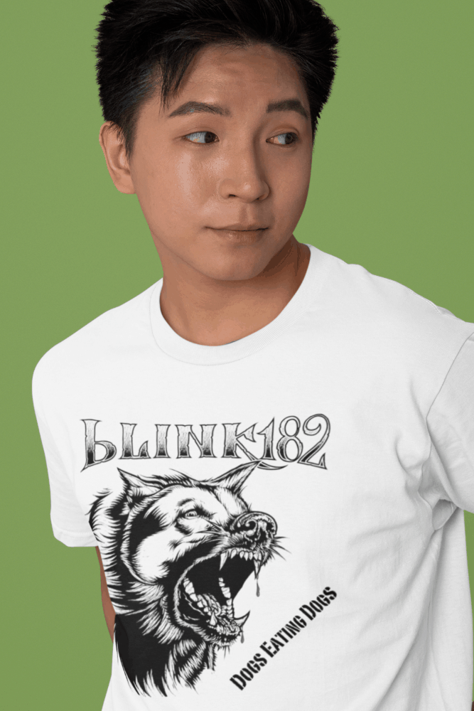 Nome do produto: Blink-182