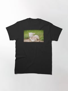 Nome do produtoSHEEP