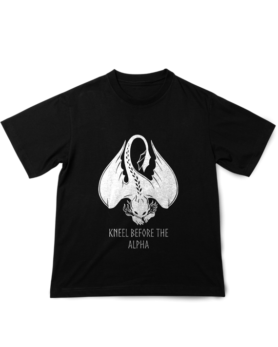 Camisa Como Treinar seu Dragão Banguela