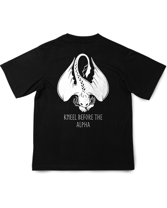 Camisa Como Treinar seu Dragão Banguela