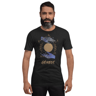 Camiseta - GÊMEOS