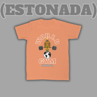 Nome do produto (ESTONADA) Camiseta The World Gym