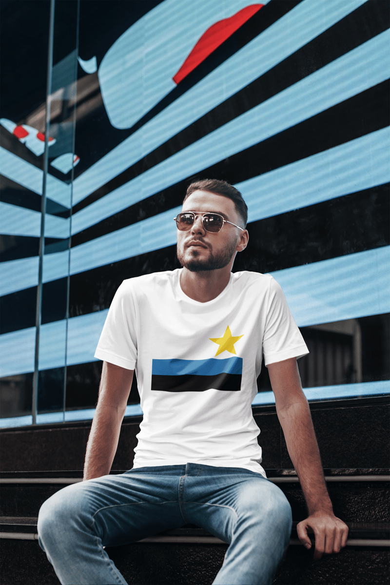 Nome do produto: Camiseta Everaldo: A Estrela Dourada