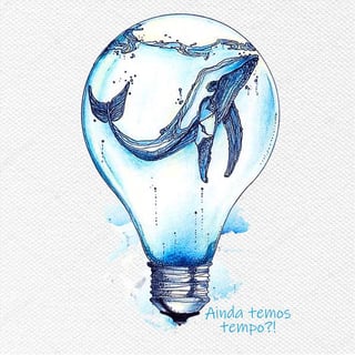 Ainda temos tempo!? ALGODÃO PRIME