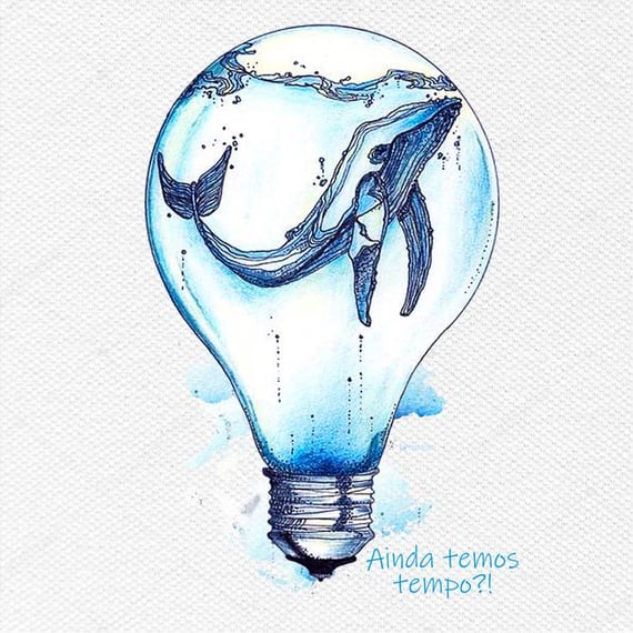Ainda temos tempo!? ALGODÃO PRIME