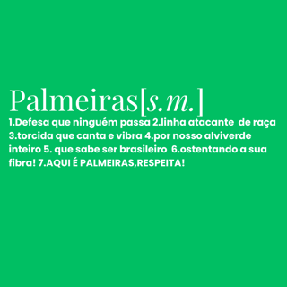 Nome do produto Camiseta  Verdão
