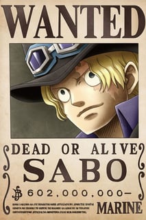 Nome do produto Procurados de One Piece - Coleção A4