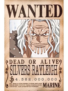Nome do produto Procurados de One Piece - Coleção A4