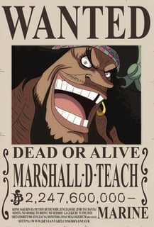 Nome do produto Procurados de One Piece - Coleção A4