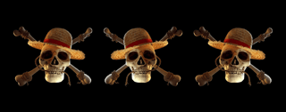 Nome do produto Caneca Mágica One Piece