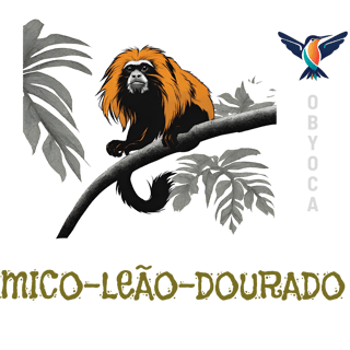 Nome do produto Camiseta Mico-leão-dourado - Coleção Raiz - Masculina