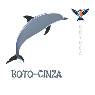 Nome do produto Camiseta Boto-cinza - Coleção Raiz - Feminina