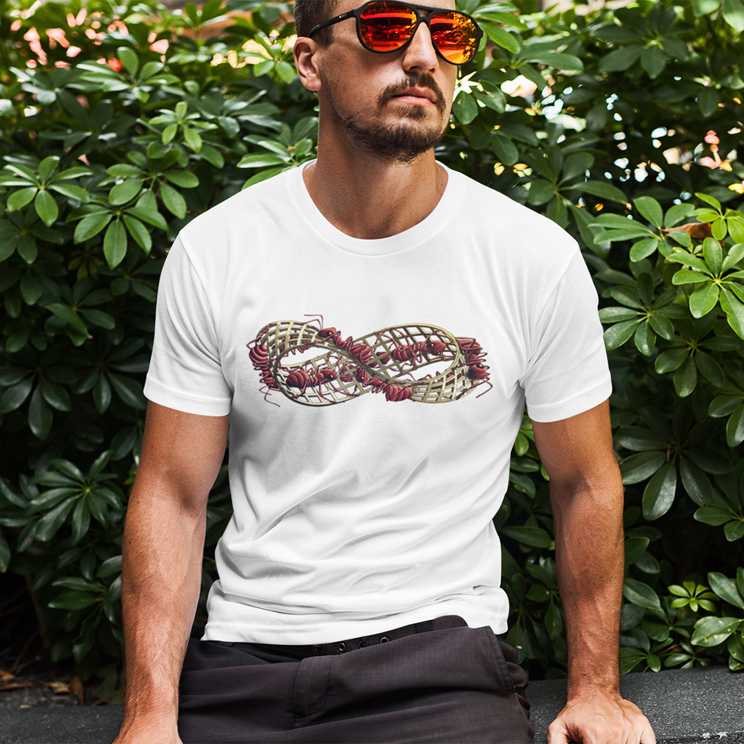 Nome do produto: As Formigas