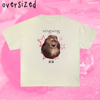 Nome do produto Camiseta Oversized 'XINGXING'