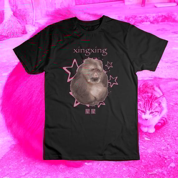 Camiseta Preta 'XINGXING'