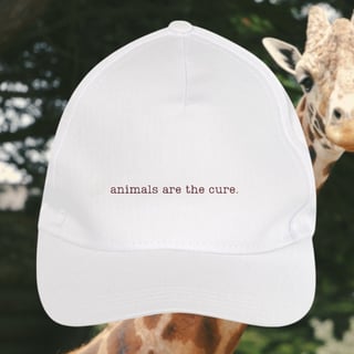 boné • animals are the cure