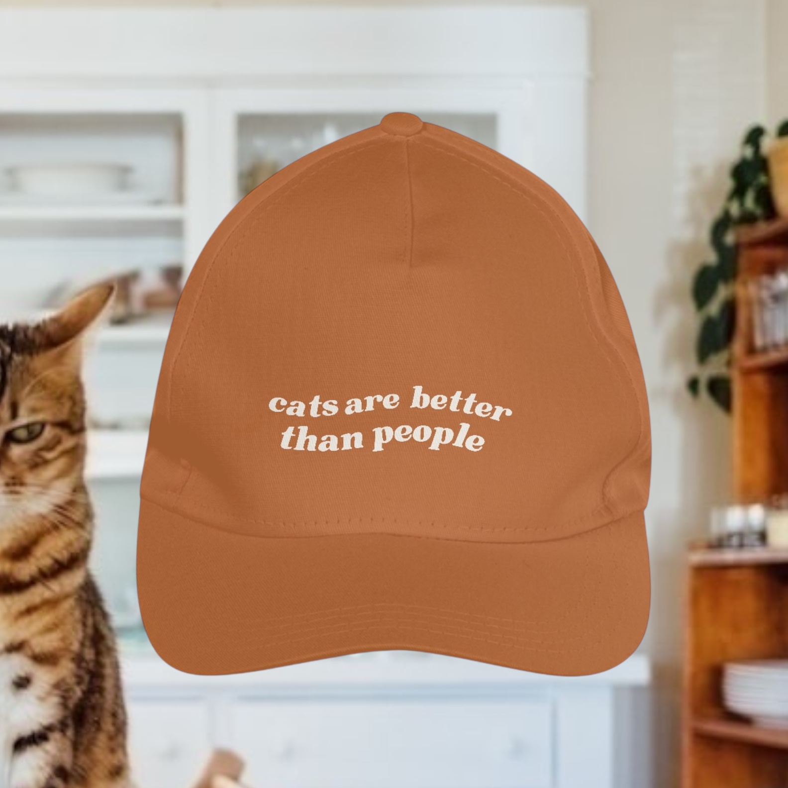 boné  • cats are better than people