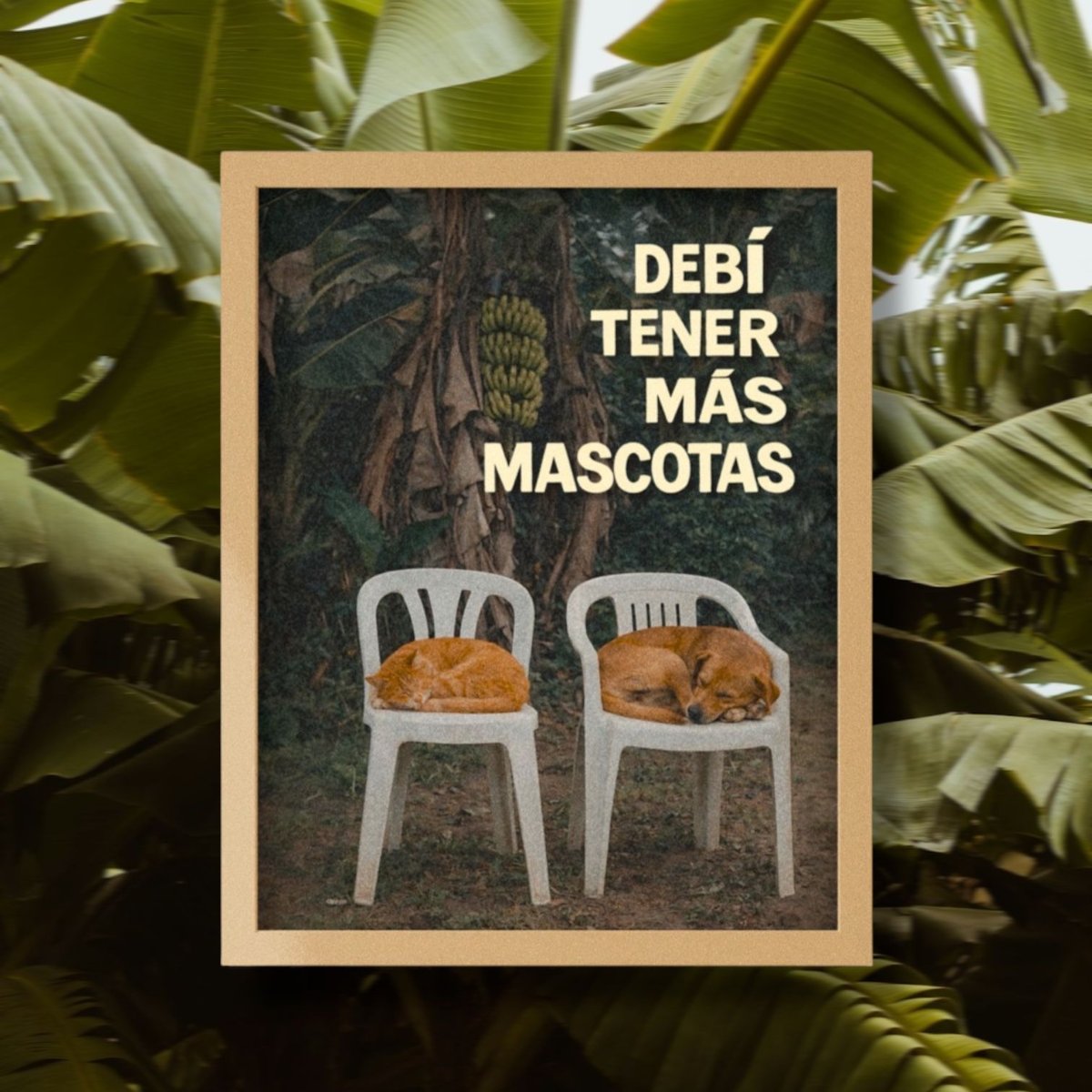 Nome do produto: quadro • DtMM