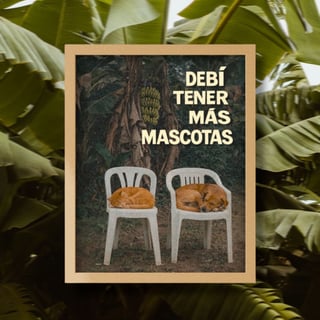 Nome do produto quadro • DtMM