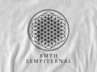Nome do produto Camiseta Dizbocado Corte BabyLook - BMTH