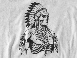 Nome do produto Camiseta Dizbocado Corte BabyLook - Indígena Americana