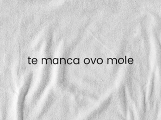 Nome do produto Camiseta Dizbocado Corte Regular - Te manca ovo mole