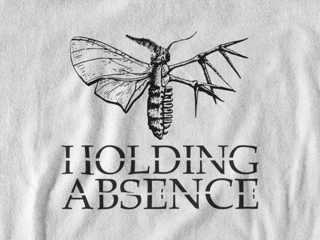 Nome do produto Camiseta Dizbocado Corte BabyLook - Holding Absence