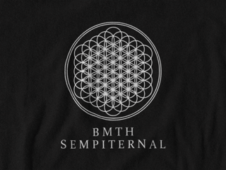 Nome do produto Camiseta Dizbocado Corte BabyLook - BMTH