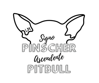 Nome do produto LM Cão Bravo Estonada