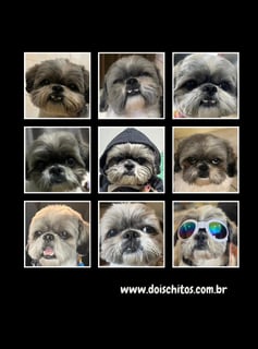 Nome do produto Camiseta - Tavinho Memes