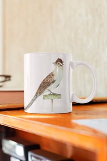Nome do produtoCaneca Matitaperê