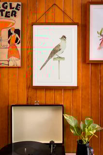 Nome do produtoMatitaperê, Pôster Papel fotográfico