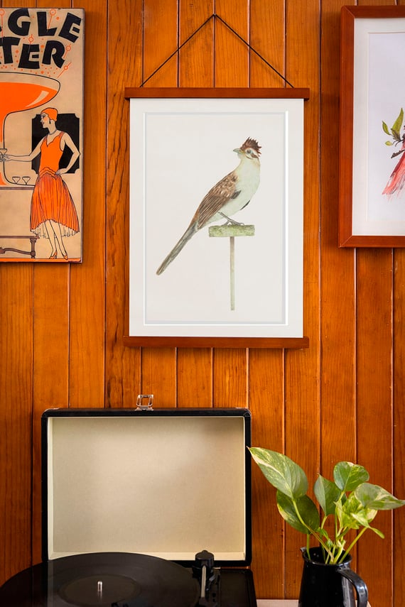 Matitaperê, Pôster Papel fotográfico