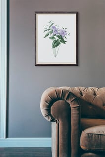 Nome do produtoPlatycodon, Pôster Papel fotográfico