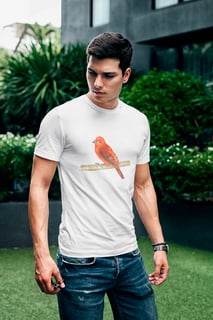 Nome do produtoSanhaço-de-fogo, Camiseta Quality Unissex