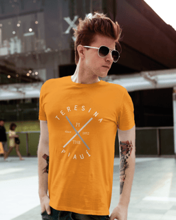 Nome do produto Camiseta Teresina Piauí Masculina