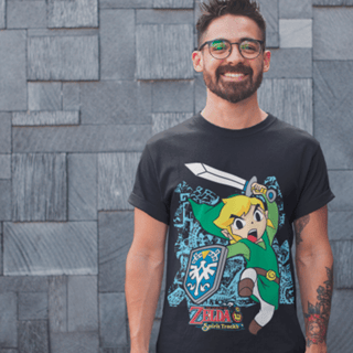 The legend of zelda - Link