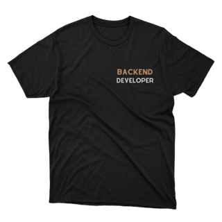 Backend Developer