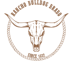 Nome do produto Rancho Bulldog Brabo Prime