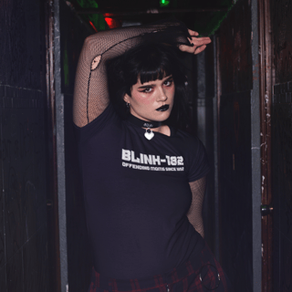 Nome do produtoCamiseta Offending Moms Since 1992 - blink-182  (unissex)