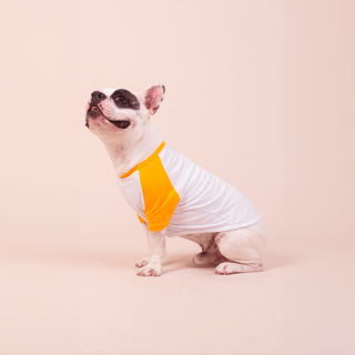 Nome do produto Camisa Pet Dog