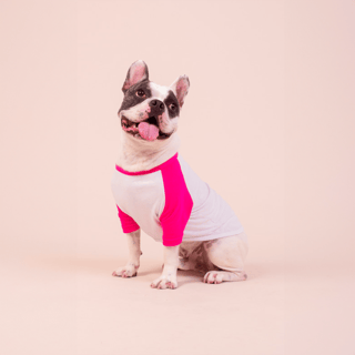Nome do produto Camisa Pet Dog