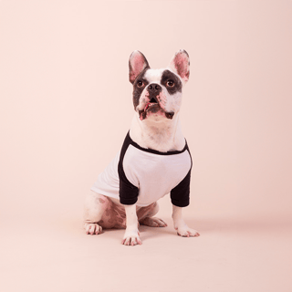 Nome do produto Camisa Pet Dog