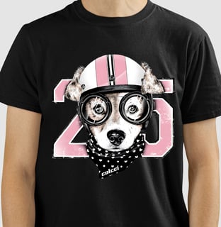 Nome do produto Camisetas Colcci Cachorro Óculos