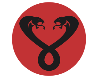 Nome do produto T-Shirt | Mumm-Rá - Thundercats