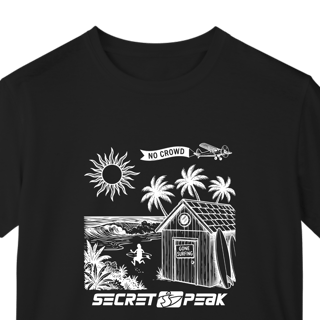 CAMISETA SECRET PEAK AIR PLANE